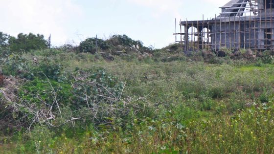 Une héritière porte plainte à Land Fraud Squad: 197 personnes s’approprient son terrain de Rs 2 Md à Melville