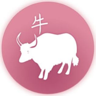 Travaux d’amélioration et d’embellissement: la plage publique de La Cambuse prend forme