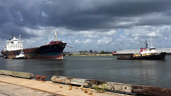 Porte-conteneur: le Horizon Trader à la casse, en Inde