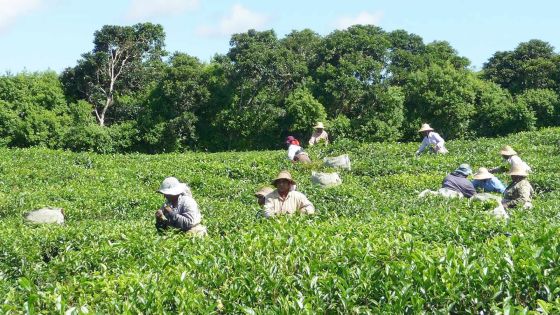 Salaire: ce que toucheront 100000 employés suivant les recommandations du NRB