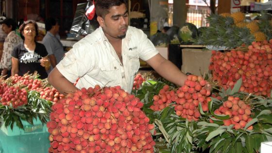 75 % de letchis en moins cette année