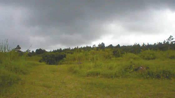 Projet de loi : rendre plus compliquée la prescription d’un terrain