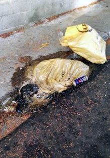 Dépotoir sauvage à Cité-Martial et au square Kadhafi