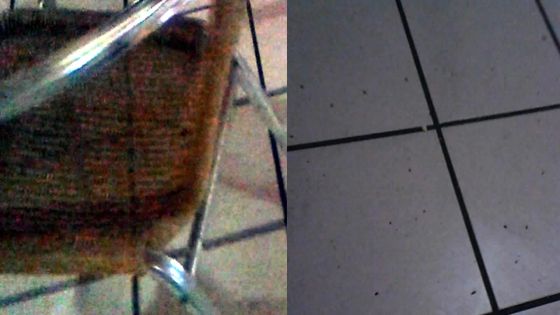 Marché central de Port-Louis: punaises et puanteur pour vous tenir compagnie