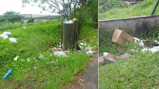 Environnement - La Nicolière: les pollueurs s’en donnent à cœur joie