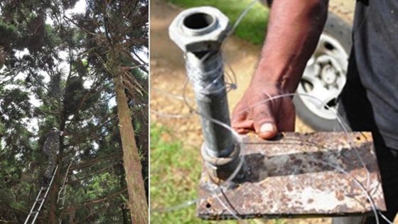 Grand-Bassin: un officier de l’ADSU blessé par un «booby trap»