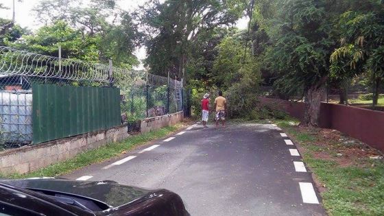 Pointe-aux-Sables: un motocycliste enseveli sous des branches
