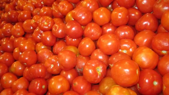 Inondations: l’importation de légumes reportée