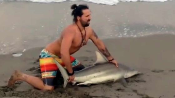 Il capture un requin pour se faire photographier sur la plage