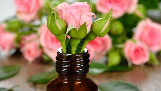 Le secret des fleurs guérisseuses