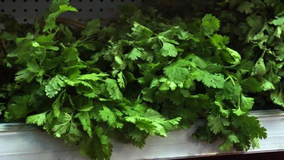 Vol de «cotomili»: un suspect arrêté après 10 mois