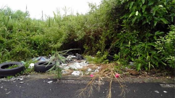 Bel-Air-Rivière-Sèche: des terrains convertis en dépotoirs