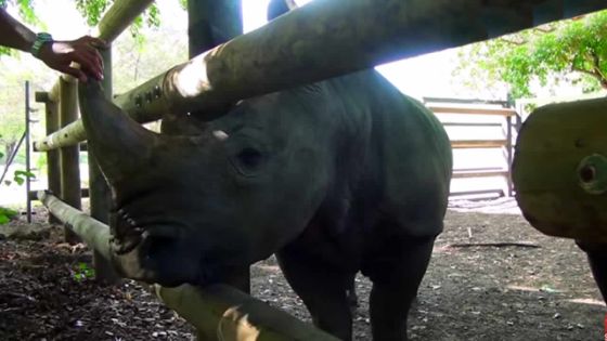 Incursion inédite à Casela: dans les coulisses de l’entretien des animaux