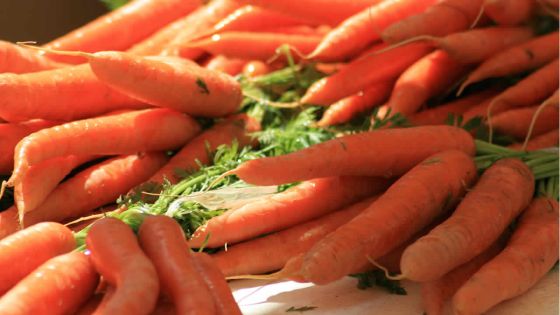 Belle-Rive : Rs 60 000 de carottes volées dans une plantation