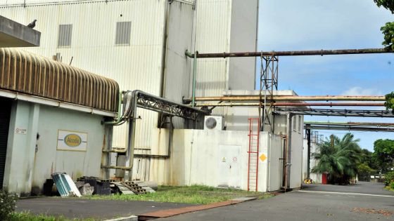 Lourdement endettée: Rose-Belle Sugar Estate vend et loue ses terres
