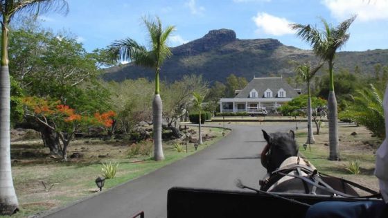 Paiement de Rs 20 M pour Pailles Smart City - Bertrand Maigrot: « Il n’y a eu aucun versement à mon étude »