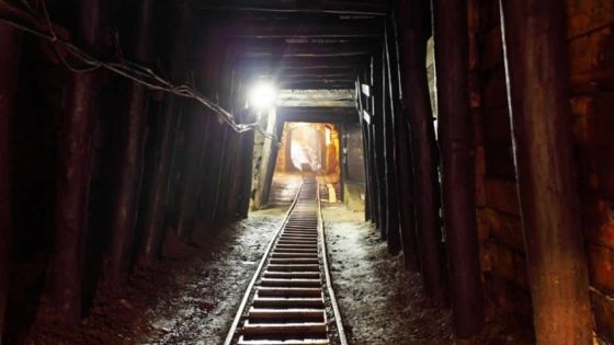 Économie régionale Afrique du Sud: un couteau à double tranchant ?