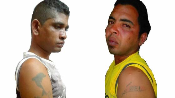 Vols en série dans le Nord: neuf malfrats interpellés