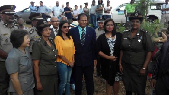 Des prisonniers embellissent la route