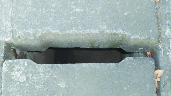 Mont-Fertile, New Grove: le trottoir de tous les dangers