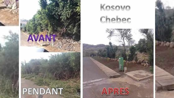 À Beau-Bassin/Rose-Hill: la mairie a donné 150 avertissements pour les terrains en friche