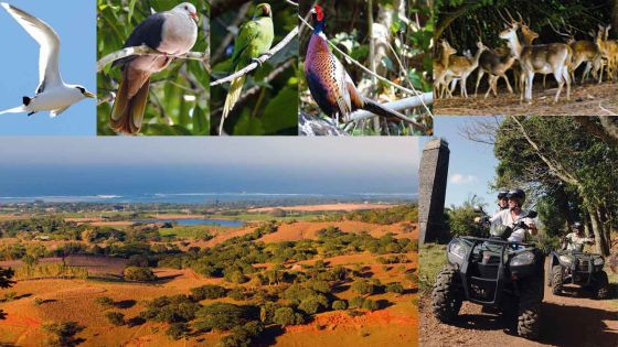 Frederica Nature Reserve: An abundance of Nature