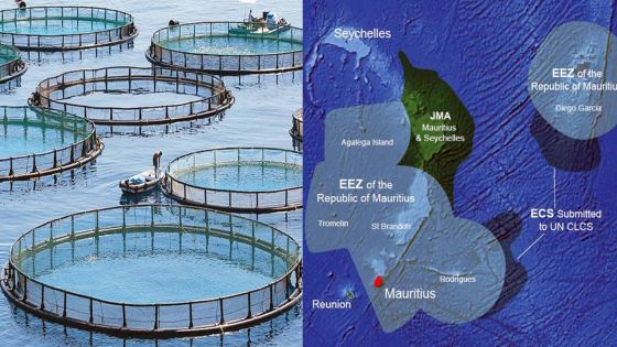 Ocean economy: Roadmap to a burgeoning sector