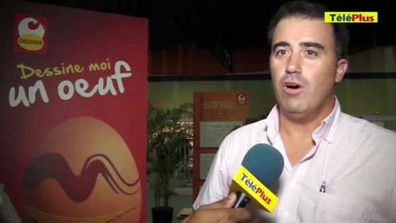 Inicia: des activités autour des œufs pour les enfants