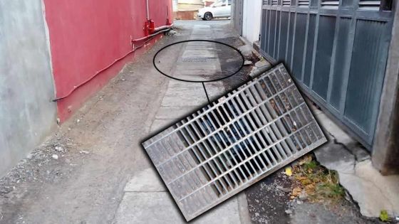 À Cassis: des rats prolifèrent dans les égouts