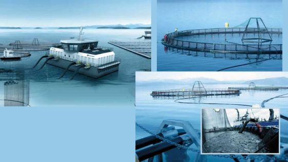 Économie bleue: mettre Maurice sur la carte mondiale de l’aquaculture