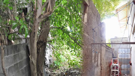 Terrain abandonné à Port-Louis: une octogénaire se plaint de son voisin