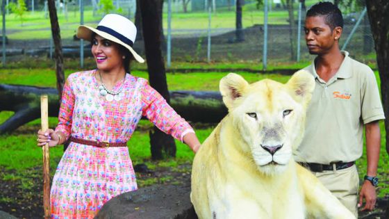 Lors d’un point de presse - Vidya Iyer: «Je suis prête pour le concert»