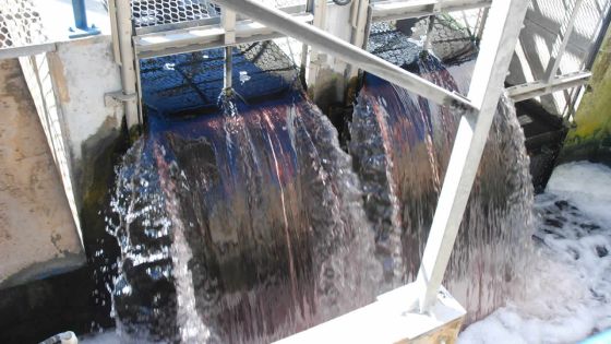 WMA: un Regional Manager suspendu pour «mismanagement»