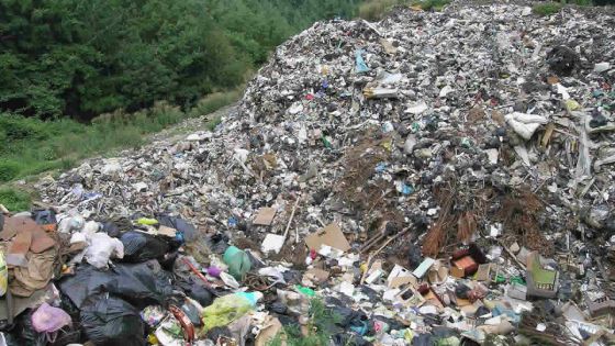 Incivisme : Un vivre-ensemble qui se dégrade