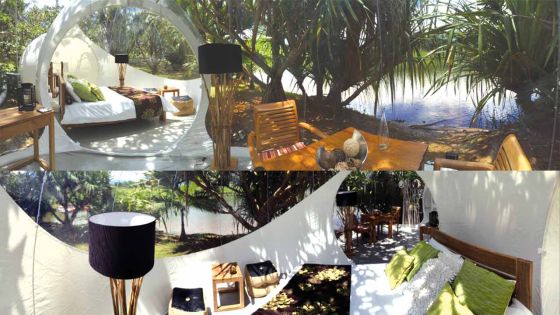 Bubble Lodge: Immerse in nature