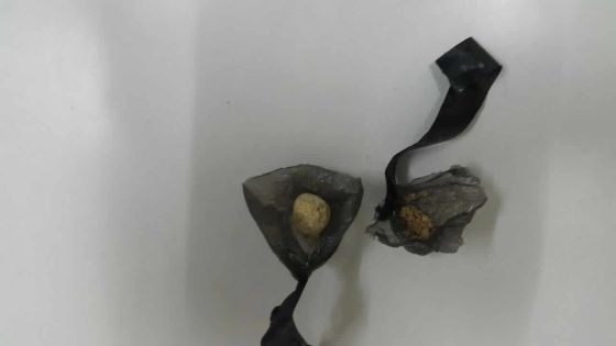 Rs 800 000 d’héroïne saisie chez un jeune