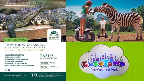 School Holiday Plans