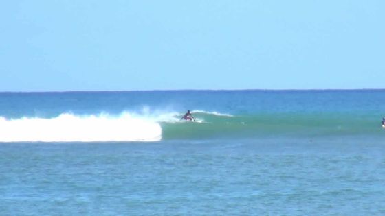 Quand les houles de plus de 4 mètres font la joie des surfeurs