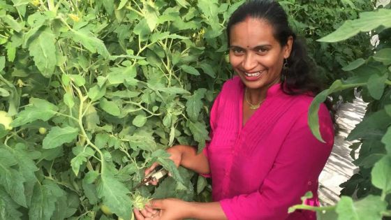 Samila Callychurn: la culture hydroponique pour une clientèle localisée