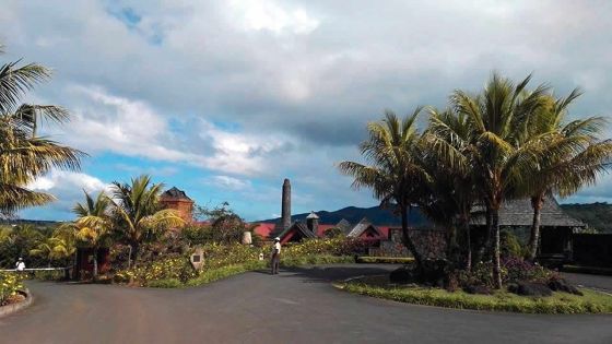 Production locale: les recettes d’exportation des rhumeries en hausse