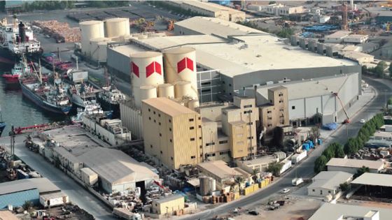 Investissements étrangers: un géant émirati dans le port franc mauricien