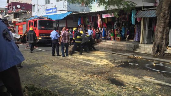 Arbres dangereux sur la route: la négligence des autorités concernées ?