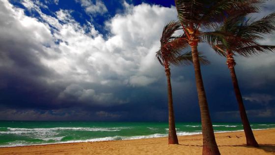 Météo: des vents forts et froids attendus cette semaine