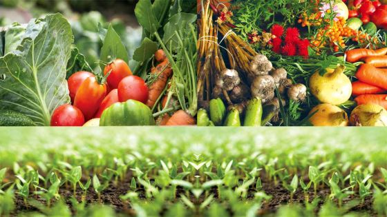 Agricultural production: Bio Farming: A means to self-sufficiency