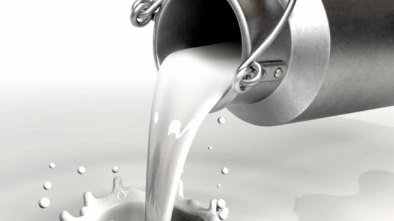 Le prix du lait en poudre baisse d’environ 17% en deux ans