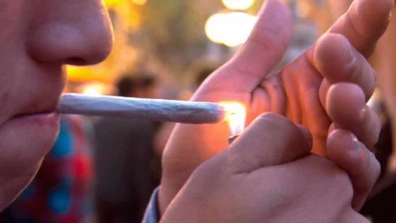 Cannabis: faut-il dépénaliser ?