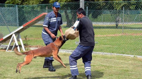Grande première pour la police: deux femmes à la Dog Section