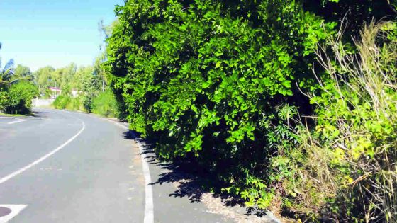 Entretien: le morcellement Ebène City négligé