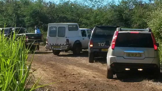 Cascavelle: le GIPM participe à une opération de recherche dans un bassin