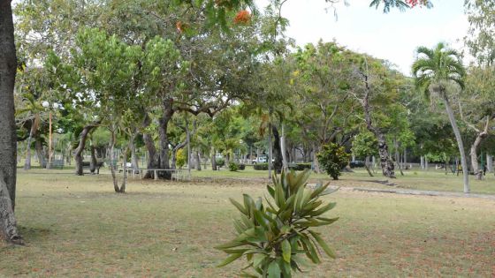 Huit hôtels à Les Salines: le chantier ouvre bientôt
